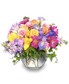 SPRINGTIME POTPOURRI 